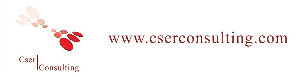 www.cserconsulting.com